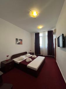 TV a/nebo společenská místnost v ubytování Hotel Tineretului