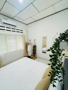 pokój z łóżkiem i rośliną w obiekcie Chenang's Guest House by The Nordic House w mieście Pantai Cenang