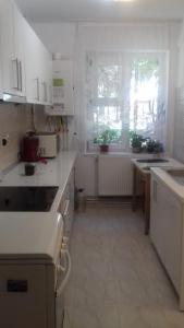 Kuchyň nebo kuchyňský kout v ubytování Apartament 2 camere Blaj Str Avram Iancu Bl 9