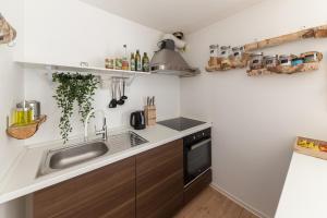 Il comprend une petite cuisine équipée d'un évier et d'une cuisinière. dans l'établissement Apartments Rok, à Ljubljana