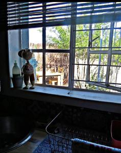 a window with a teddy bear sitting on a window sill at Malan's Rust in Sutherland