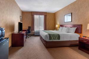 a hotel room with a bed and a desk and a television at Comfort Inn Sturgeon Falls in Sturgeon Falls
