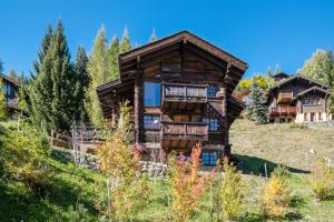 a log home on a hill with trees at Chalet Lo Villâzo by Mrs Miggins in Grimentz