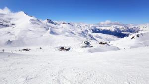Fotografie z fotogalerie ubytování Le scandinave v destinaci Les Deux Alpes