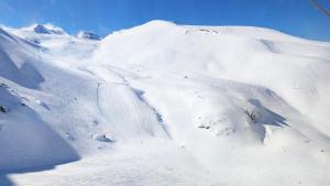 Fotografie z fotogalerie ubytování Le scandinave v destinaci Les Deux Alpes