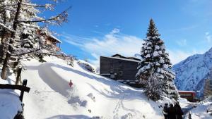 Fotografie z fotogalerie ubytování Le scandinave v destinaci Les Deux Alpes