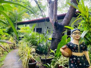 Taman di luar The Jungle Path Lodge