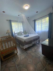 a bedroom with a bed with a mosquito net at Blissful hill top Apartment in Anse Possession
