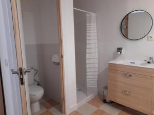 y baño con aseo, lavabo y espejo. en Room in Lodge - Rural Hotel Las Quintas de los Mangas Verdes, en Quintana Redonda