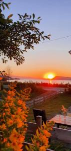 a sunset over the ocean with a bench and flowers at The Fjord House in Snofugl