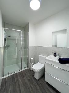 een badkamer met een douche, een toilet en een wastafel bij Helens Lybster cosy cottage on NC500 in Lybster