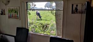 Galeriebild der Unterkunft Evenrust, gelegen nabij het Pieterpad in Coevorden