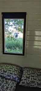 una habitación con una ventana con una vaca en el césped en Blokhut De Vlinder gelegen nabij het Pieterpad, en Coevorden