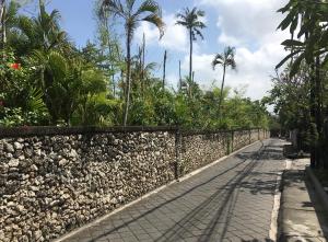 Zahrada ubytování Kubu Verra Seminyak