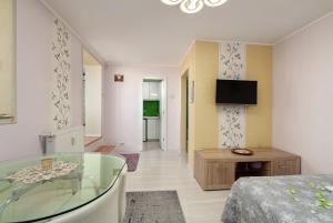 a bedroom with a tub and a bed and a television at Stone Gate Apartment #1 in Bucharest