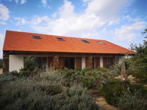 uma casa com um telhado laranja num campo em Monte Bandarro Novo, Country House em Cercal do Alentejo