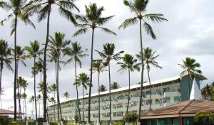 a row of palm trees in front of a building at Ancorar flat resort paradise in Porto De Galinhas