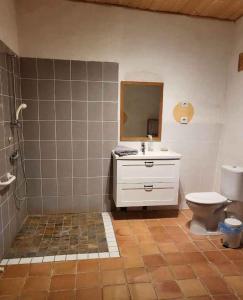 La salle de bains est pourvue d'un lavabo, de toilettes et d'un miroir. dans l'établissement Le Grenier à Blé, à Satillieu