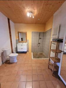 a bathroom with a toilet and a sink and a shower at Le Grenier à Blé in Satillieu