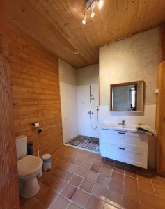 La salle de bains est pourvue de toilettes, d'un lavabo et d'une douche. dans l'établissement Le Grenier à Blé, à Satillieu