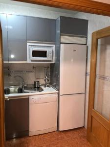 een keuken met een koelkast, een wastafel en een magnetron bij CHEZ GREDOS in Candeleda