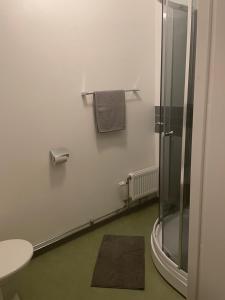 a bathroom with a shower and a toilet and a rug at Hotell Silverborgen in Sala