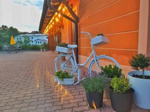 Hjólreiðar á eða í nágrenni ROMANTIK HOTEL ELEONORA