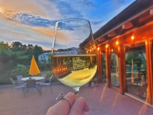 a person holding up a glass of wine at ROMANTIK HOTEL ELEONORA in Tábor