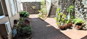 a brick walkway with potted plants next to a staircase at T2 Zen Évasion tout confort climatisé Saint Denis in La Montagne