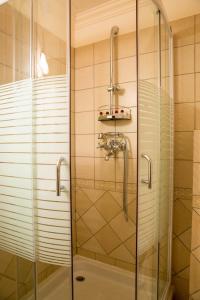 a shower with a glass door in a bathroom at Hotel Stejarul in Bazoşu Nou