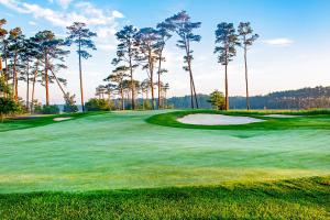 une vue sur un terrain de golf avec des palmiers dans l'établissement Bayside Resort --- 36288 Sunflower Blvd, à Selbyville