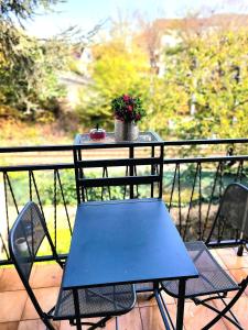 a blue chair and a table with a potted plant on a balcony at Diamant Studio classé 3 Étoiles in Saint-Germain-en-Laye