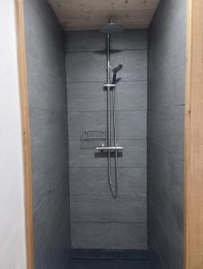a shower with a shower head in a bathroom at Au charmant chablis in Champagnole