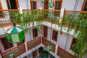 une vue de tête d'un bâtiment avec des plantes en pot dans l'établissement Riad SofYan & Spa, à Marrakech
