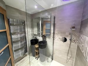 een badkamer met een douche en een glazen deur bij Le 3 de Coeur Annecy in Annecy