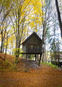 een kleine hut midden in het bos bij Na Skraju Lasu Domek na Drzewie & Glamping in Kazimierz Dolny