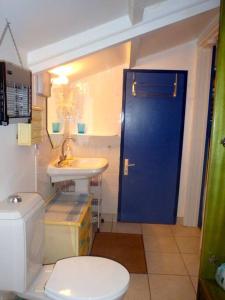 a bathroom with a blue door and a toilet and sink at Charmant et spacieux studio à 50m de la plage in Le Diamant