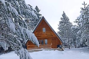 una cabaña de madera en la nieve con árboles nevados en Cozy Forest Hut near Sarajevo en Pale