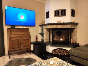 a living room with a tv and a fireplace at Ferienhaus Blaue Blume mit 11 kW Ladestation, Kamin, Terrasse, eingezäuntem Garten, Sauna, WLAN, Netflix, 2 Hunde willkommen! in Güntersberge