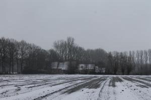 Dielpenhof взимку