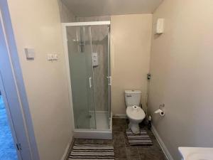 a bathroom with a toilet and a glass shower at A lovely one bedroom Condo with free parking in Patchway in Bristol