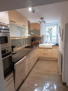 a large kitchen with white cabinets and a window at La cambuse des gones - Gîte 3 chambres in Thurins