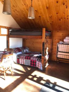 1 Schlafzimmer mit 2 Etagenbetten in einer Hütte in der Unterkunft Les Cabines Nordik 2.0 in Shawinigan