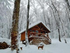 a log cabin in the woods in the snow at Les Cabines Nordik 2.0 in Shawinigan +10 photos