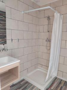 La salle de bains est pourvue d'une douche avec rideau de douche. dans l'établissement cocon des lys, à Saint-Louis