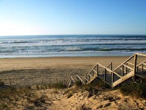 a beach with a wooden staircase leading to the ocean at Les Coquillages in Mimizan-Plage