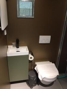 La salle de bains est pourvue d'un lavabo, de toilettes et d'un miroir. dans l'établissement Tiny House in het groen, aan zee met privé Hottub, à Callantsoog