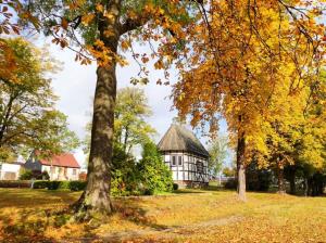 a building in the middle of a field with trees at Ferienhaus Blaue Blume mit 11 kW Ladestation, Kamin, Terrasse, eingezäuntem Garten, Sauna, WLAN, Netflix, 2 Hunde willkommen! in Güntersberge