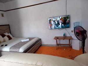 a room with two beds and a tv on the wall at Nash Studio AirbnB in Nakuru