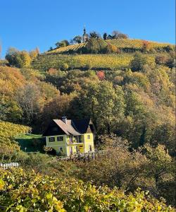 a yellow house sitting on top of a hill at Malerisches Weingartenhäuschen in Kitzeck in Kitzeck im Sausal